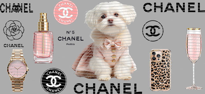 16oz Chanel-P1-375